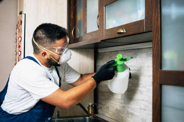 Best Best Pest Control Companies  in Jersey Village, TX