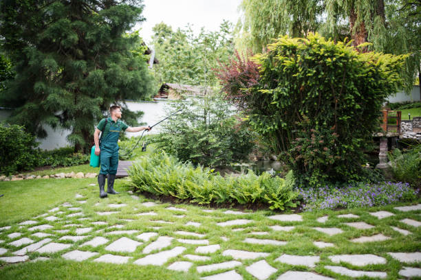 Best Affordable Pest Control Services  in Jersey Village, TX