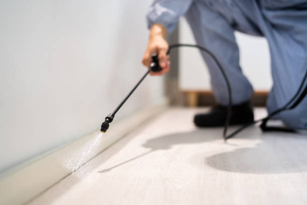 Pest Control Cost in Jersey Village, TX