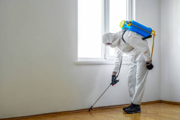 Trusted Jersey Village, TX Pest Control Experts