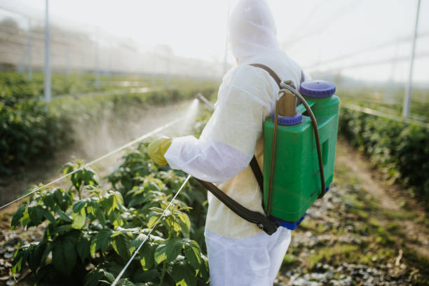 Best Residential Pest Control  in Jersey Village, TX